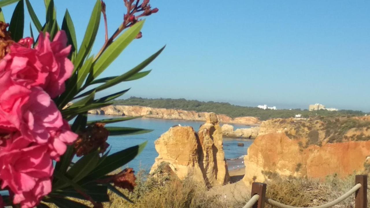 Albur Village B - Hyacinth Alvor Buitenkant foto
